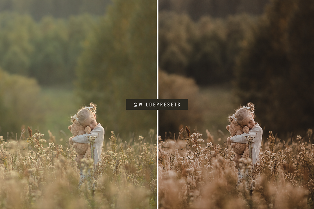 The Moody Woodlands Preset Collection