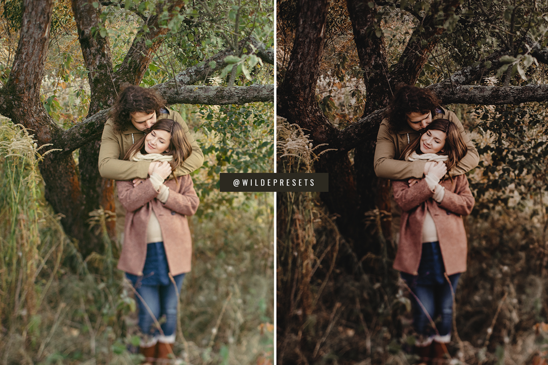 The Moody Woodlands Preset Collection