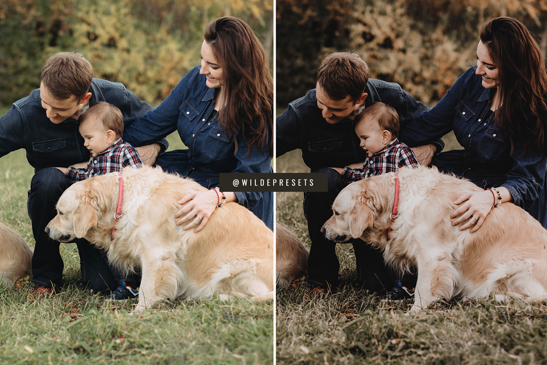 The Moody Woodlands Preset Collection