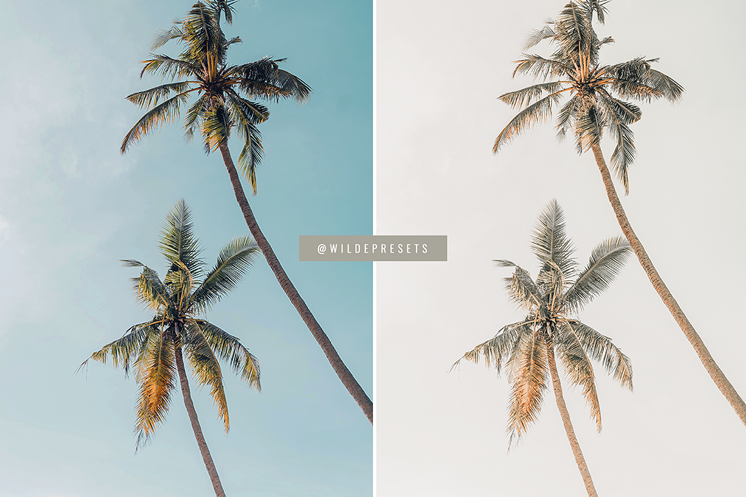 The Papaya Cream Preset Collection