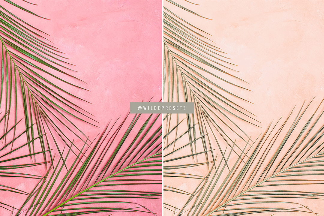 The Papaya Cream Preset Collection