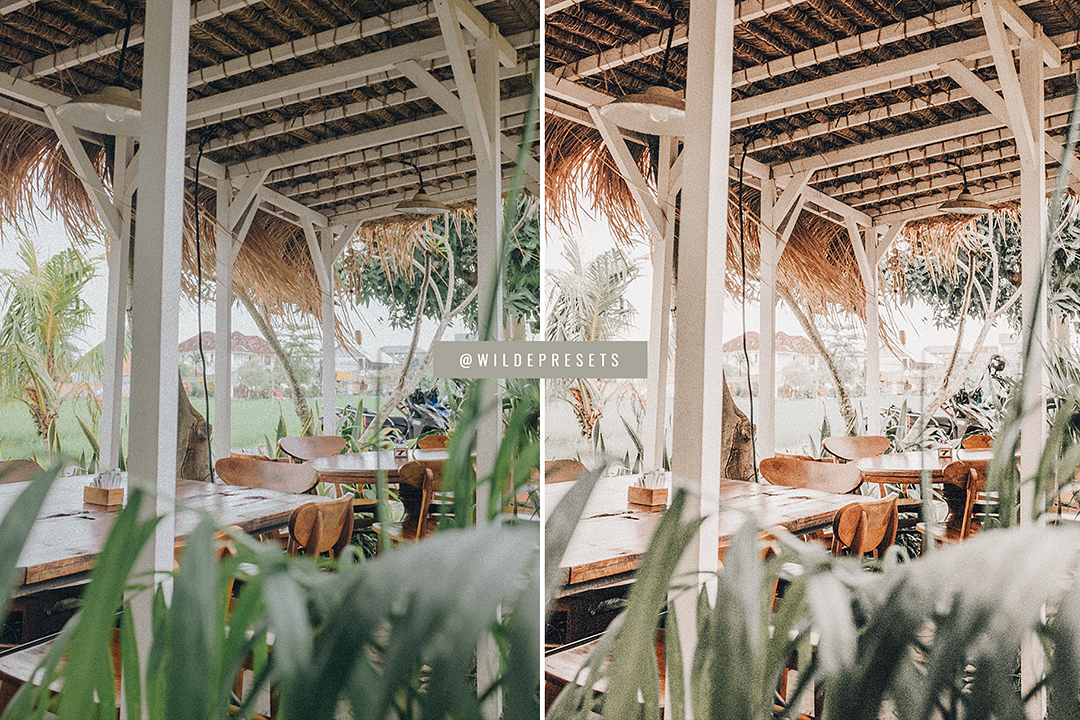 The Papaya Cream Preset Collection