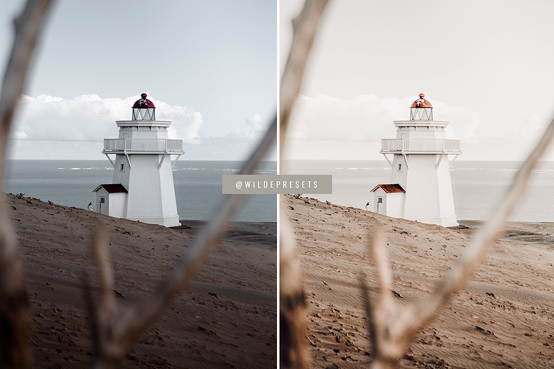 The Papaya Cream Preset Collection