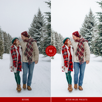The Peppermint Preset Collection