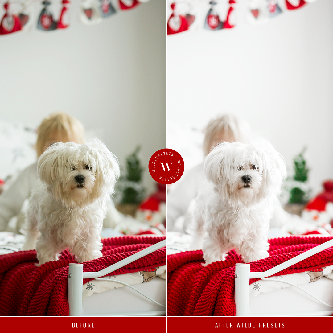 The Peppermint Preset Collection