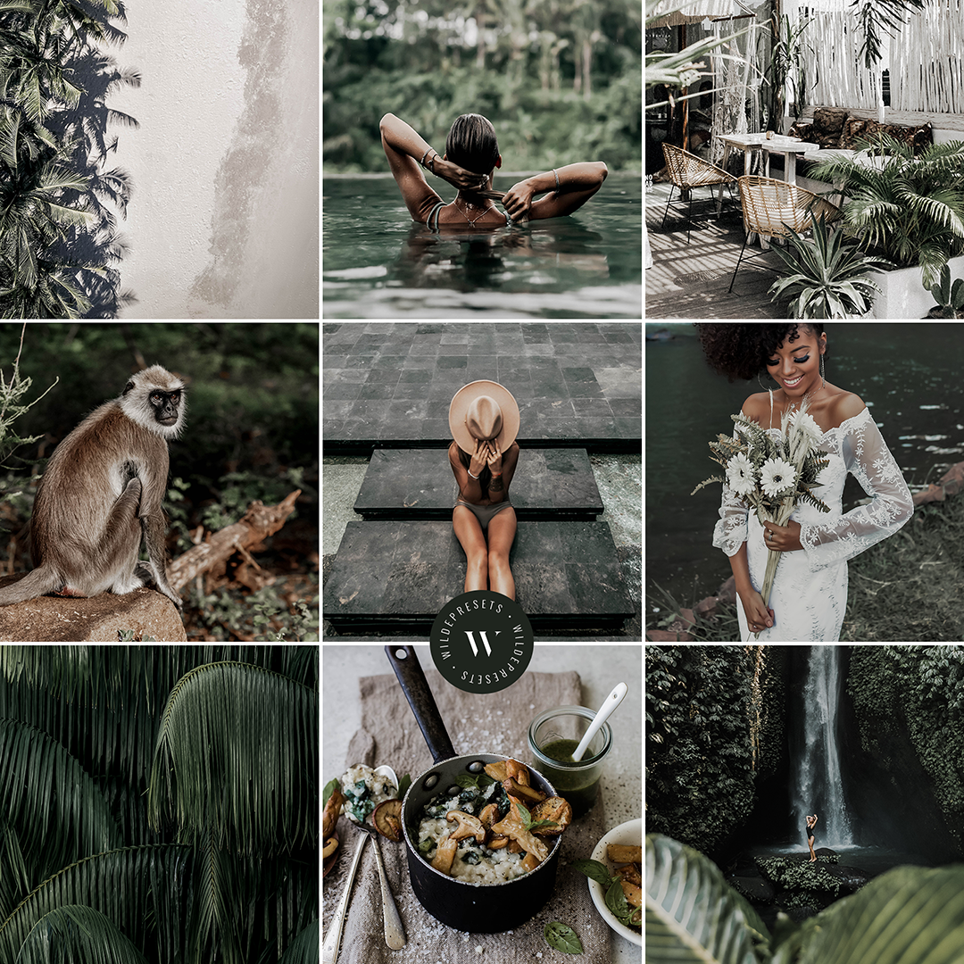 The Rainforest Preset Collection