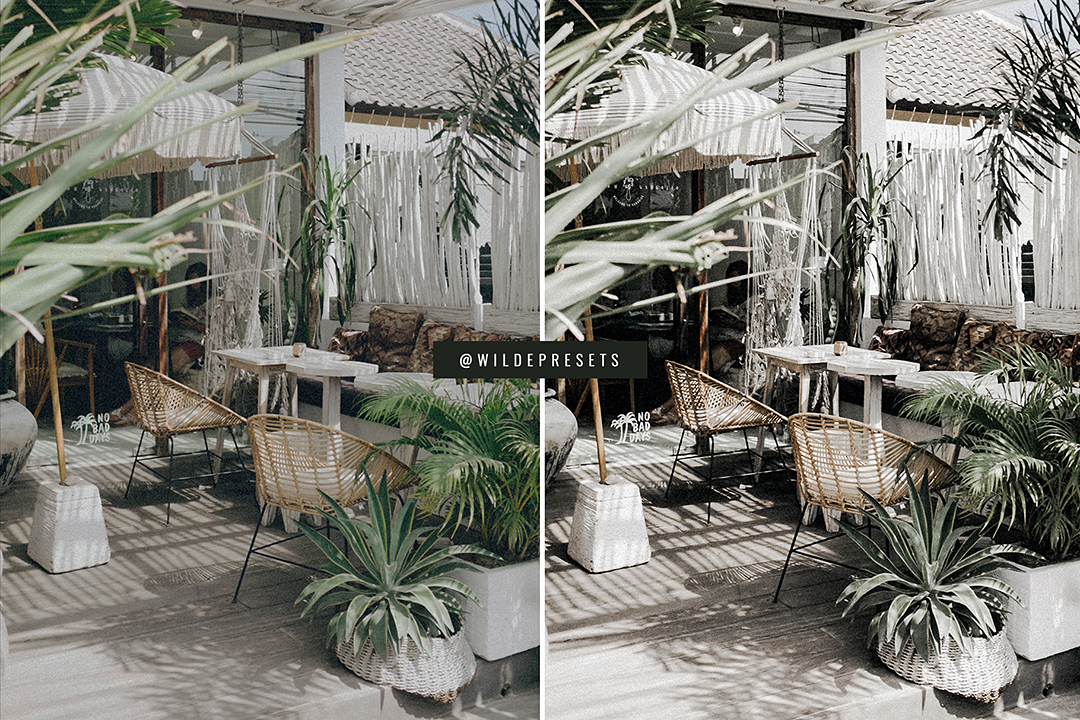 The Rainforest Preset Collection