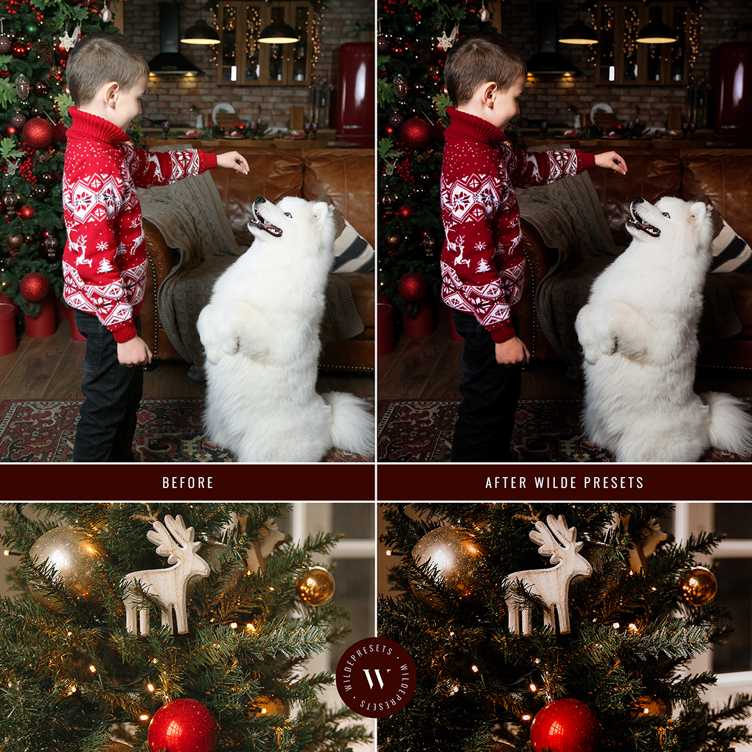 The Rich Holiday Preset Collection