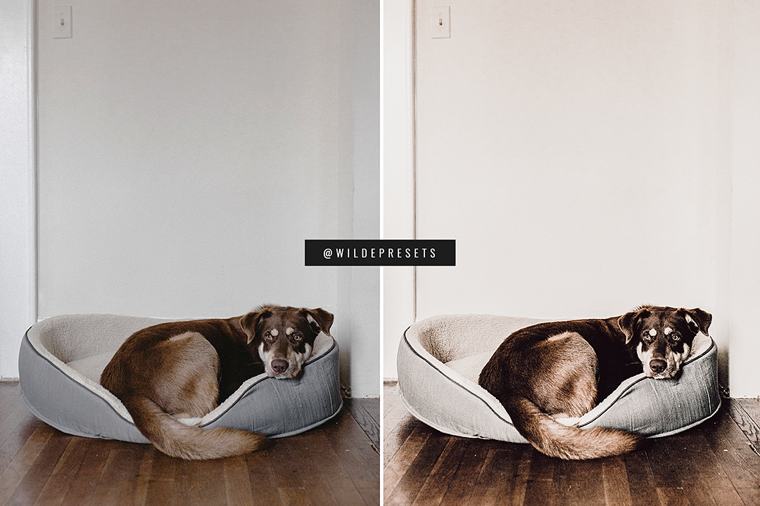 The Rich Contrast Preset Collection