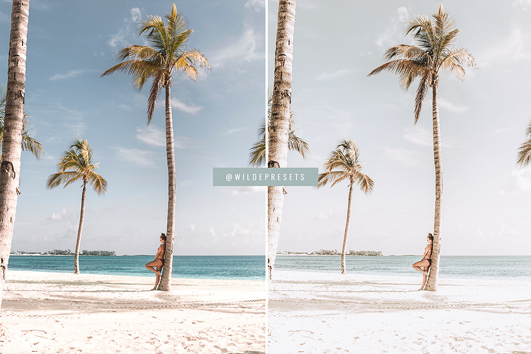 The South Beach Preset Collection