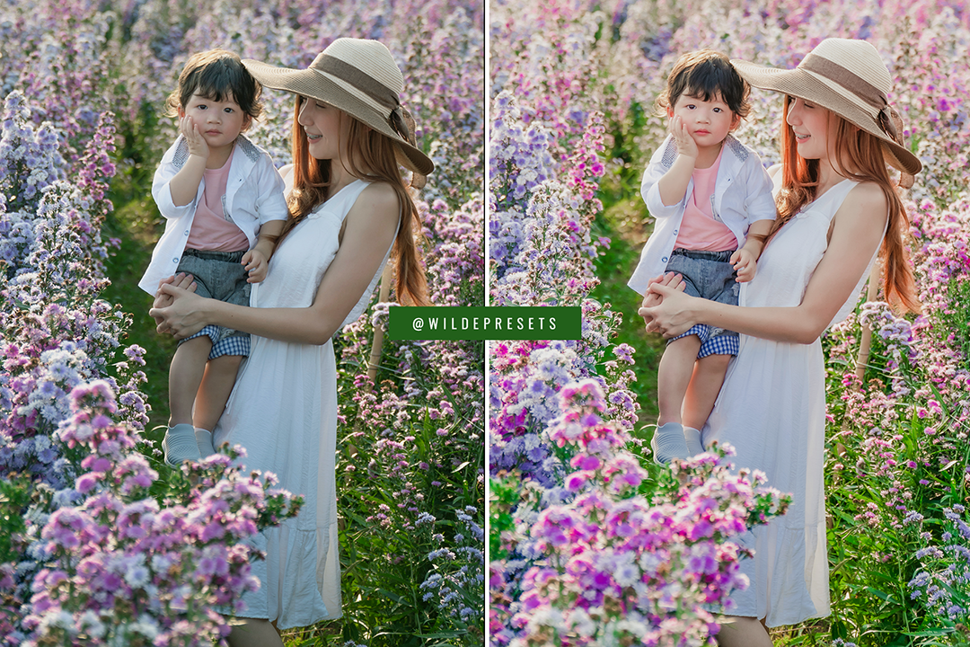 The Spring Dream Preset Collection