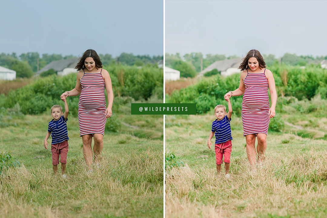 The Spring Dream Preset Collection