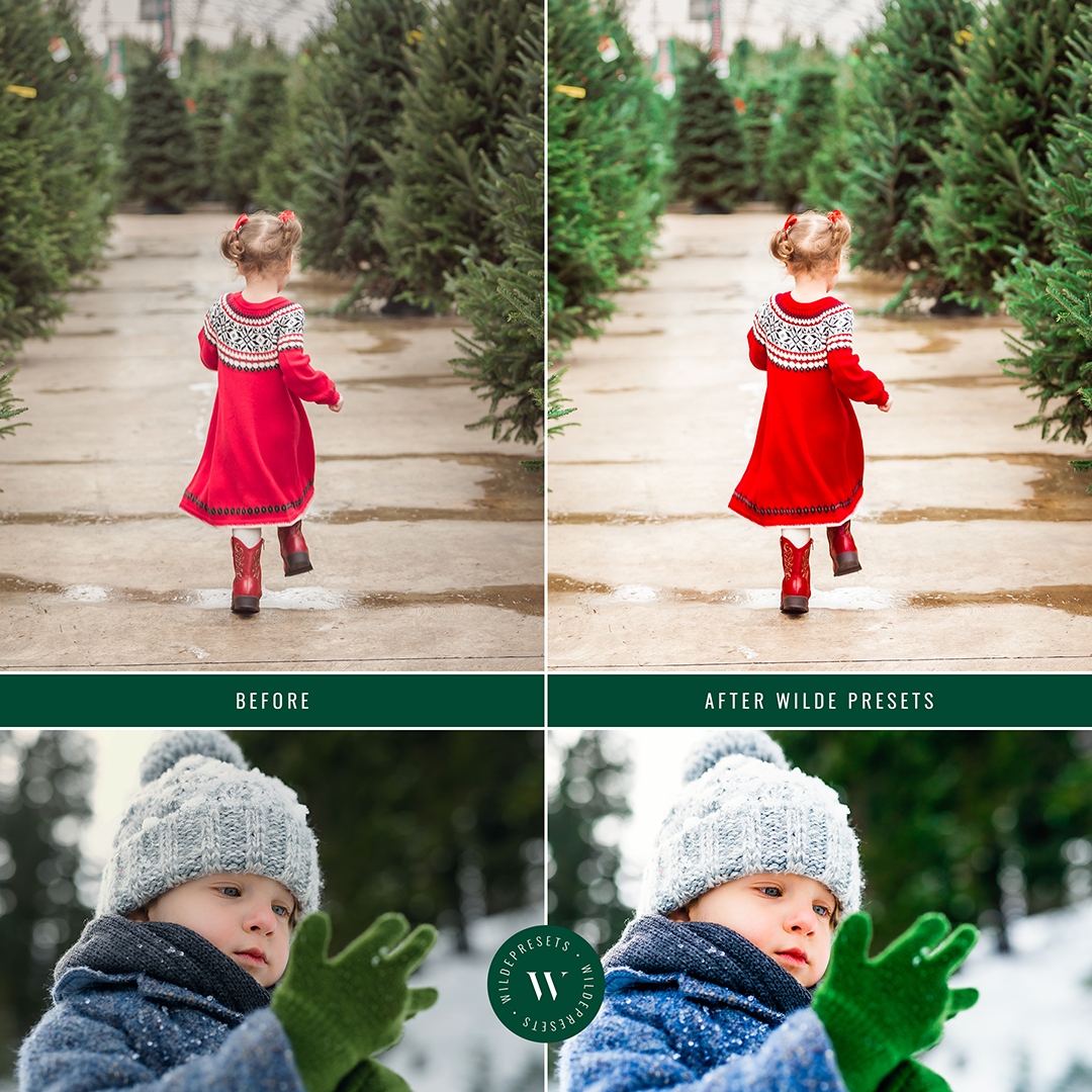 The Vibrant Holiday Preset Collection