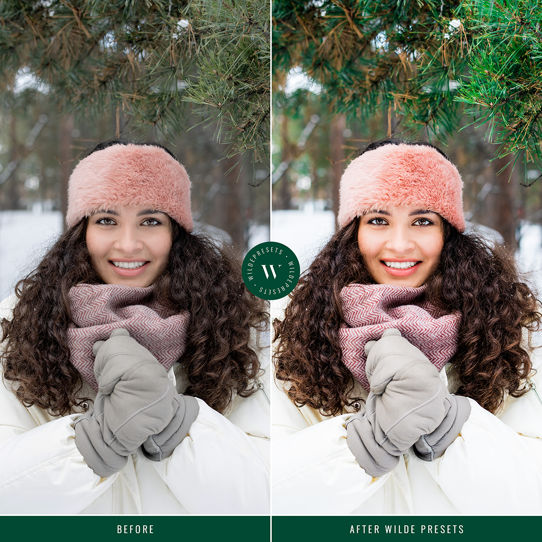 The Vibrant Holiday Preset Collection