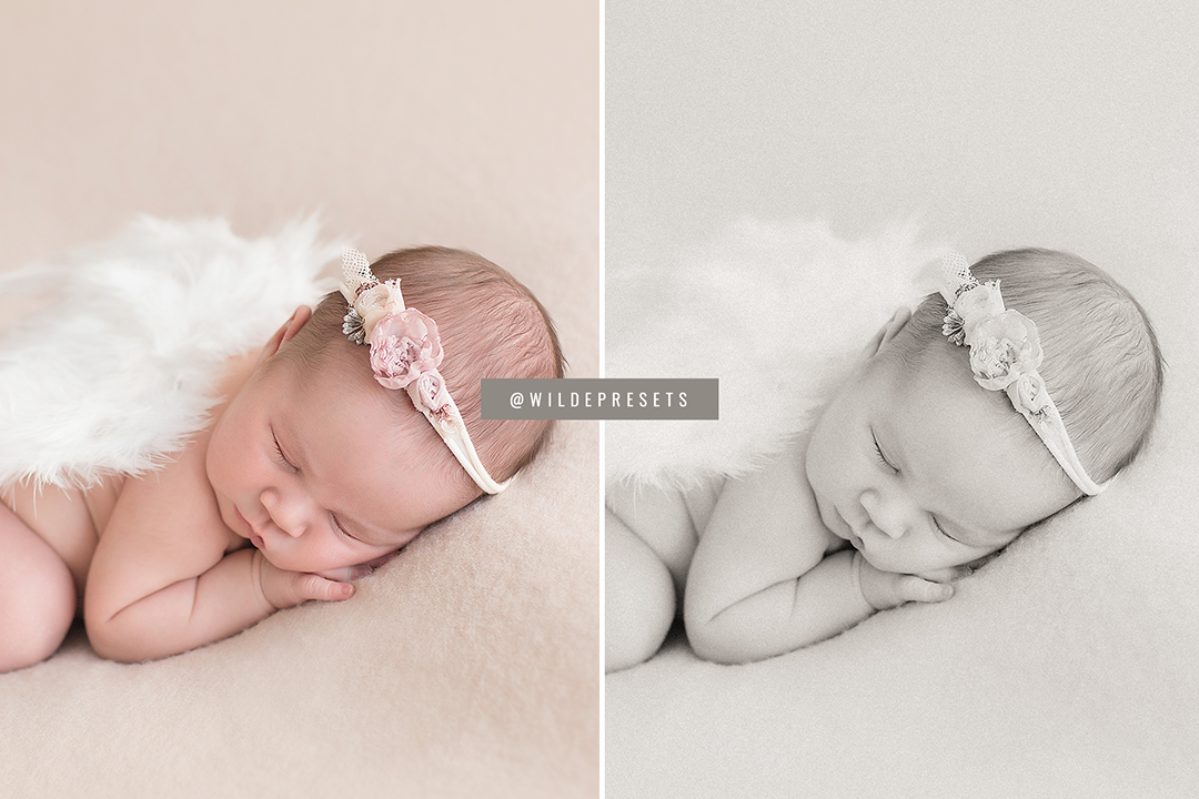 The Warm BW Preset Collection