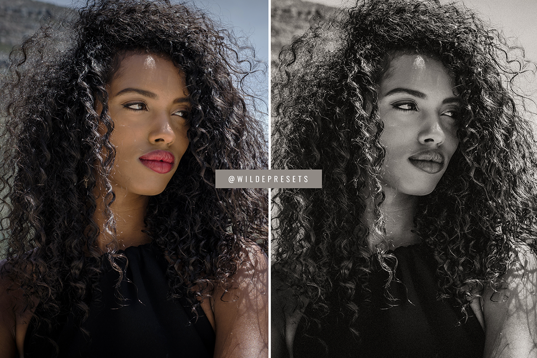 The Warm BW Preset Collection