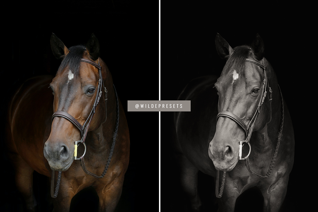 The Warm BW Preset Collection