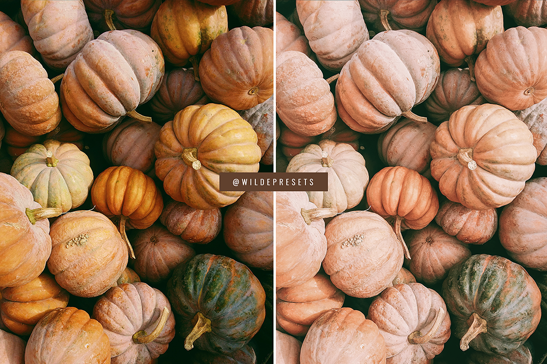 The Warm Harvest Preset Collection