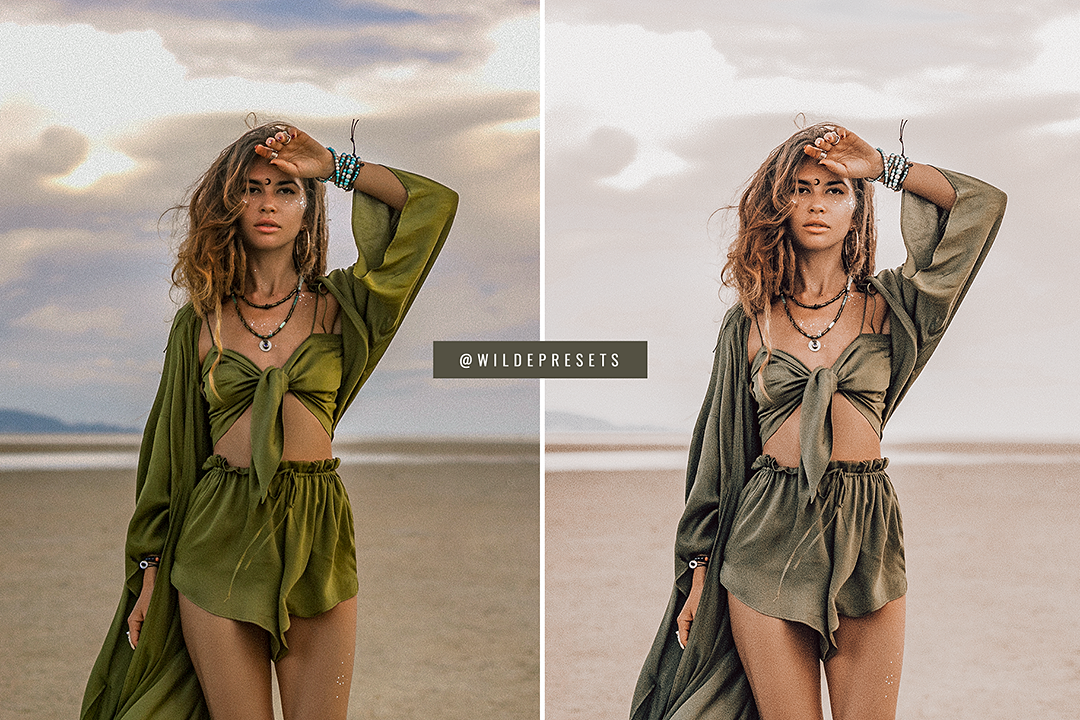 The Wild Bohemian Preset Collection