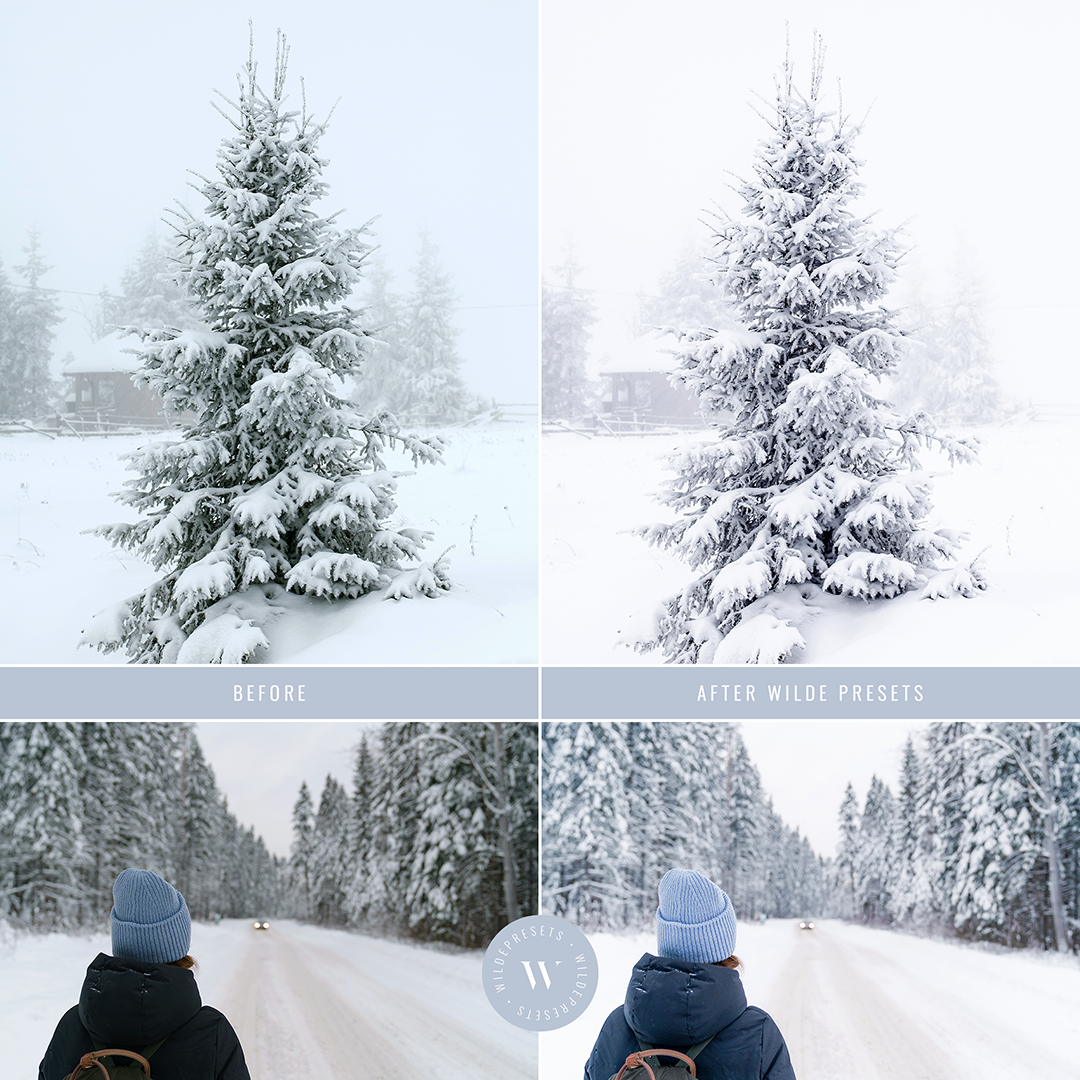 The Winter Frost Preset Collection