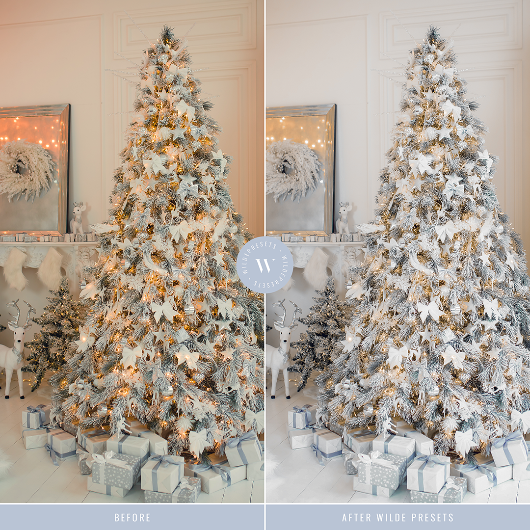 The Winter Frost Preset Collection