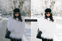 The Winter Blogger Preset Collection