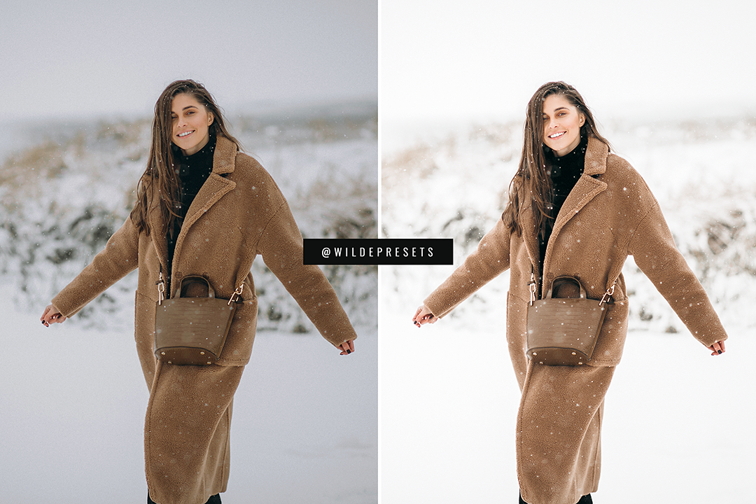 The Winter Blogger Preset Collection