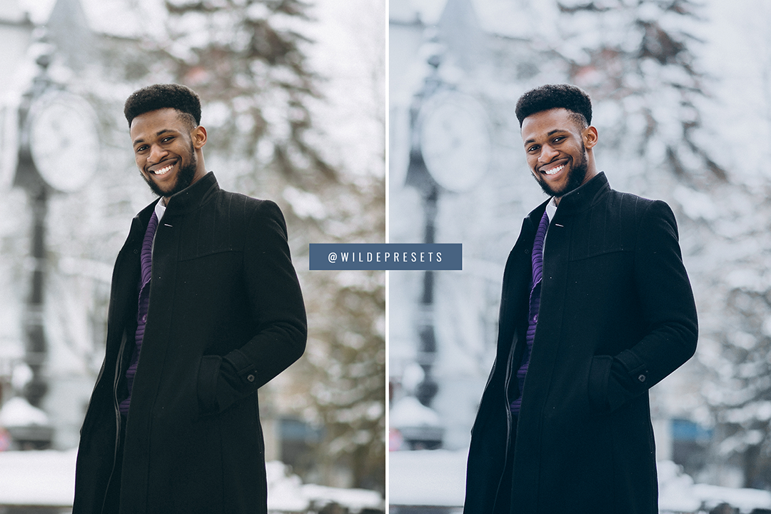 The Winter Blues Preset Collection