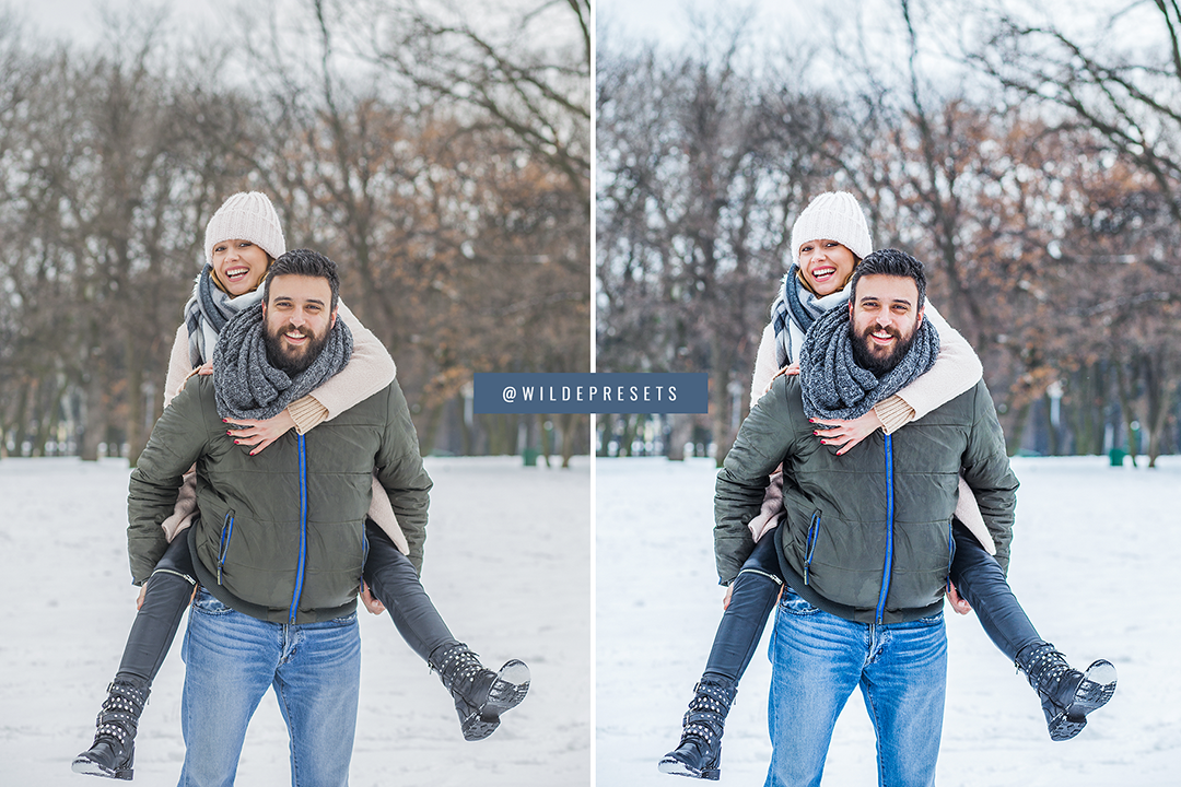 The Winter Blues Preset Collection