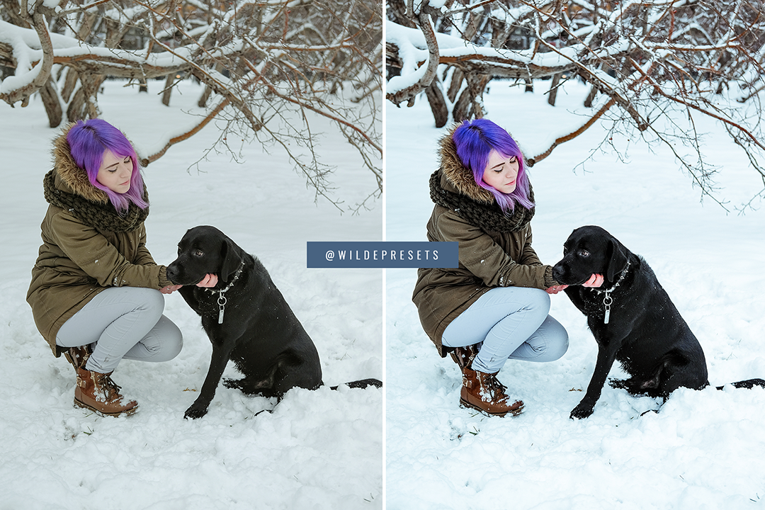 The Winter Blues Preset Collection