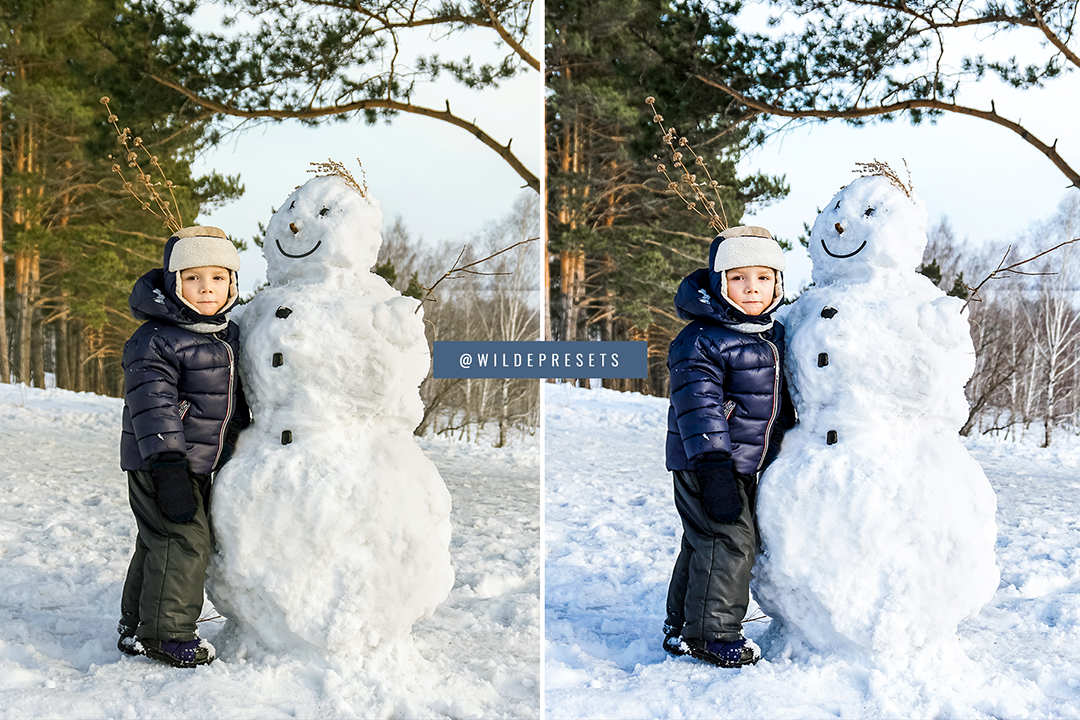 The Winter Blues Preset Collection