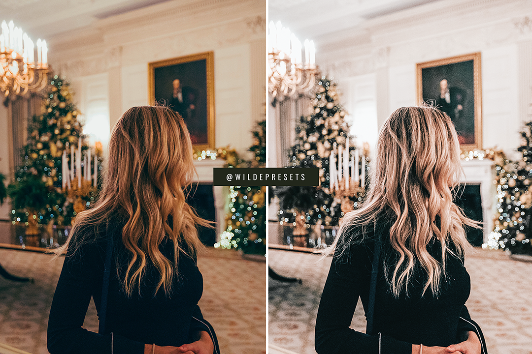 The Winter Green Preset Collection