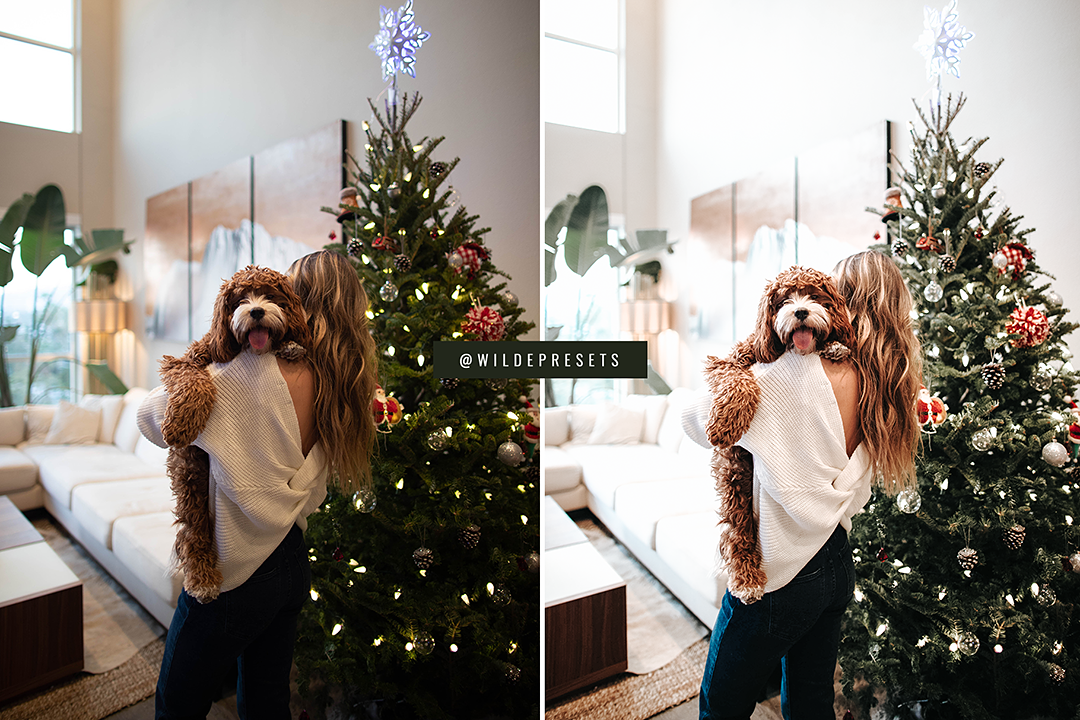 The Winter Green Preset Collection