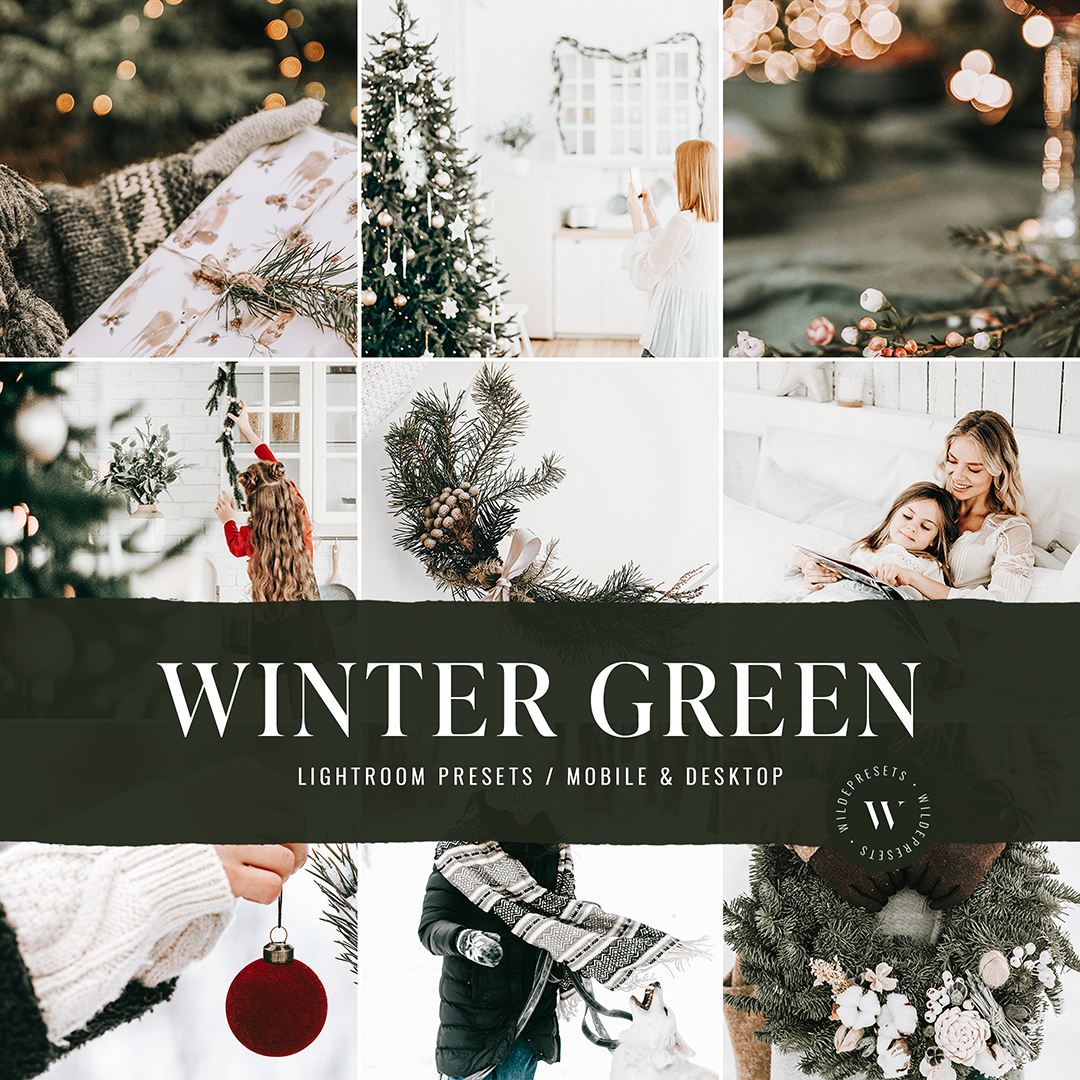 The Holiday Preset Bundle