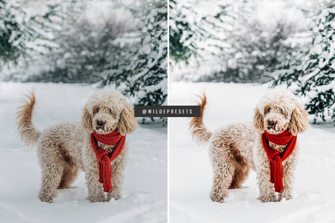 The Winter Magic Preset Collection