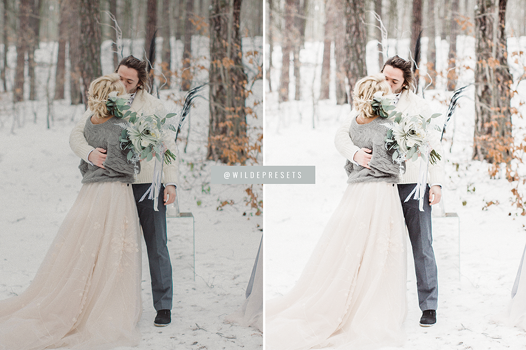 The Winter Wedding Preset Collection