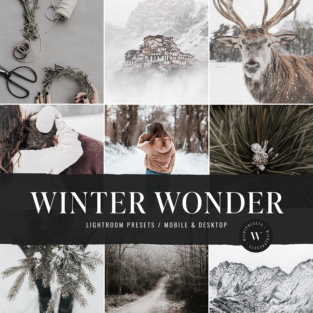 The Winter Wonder Preset Collection